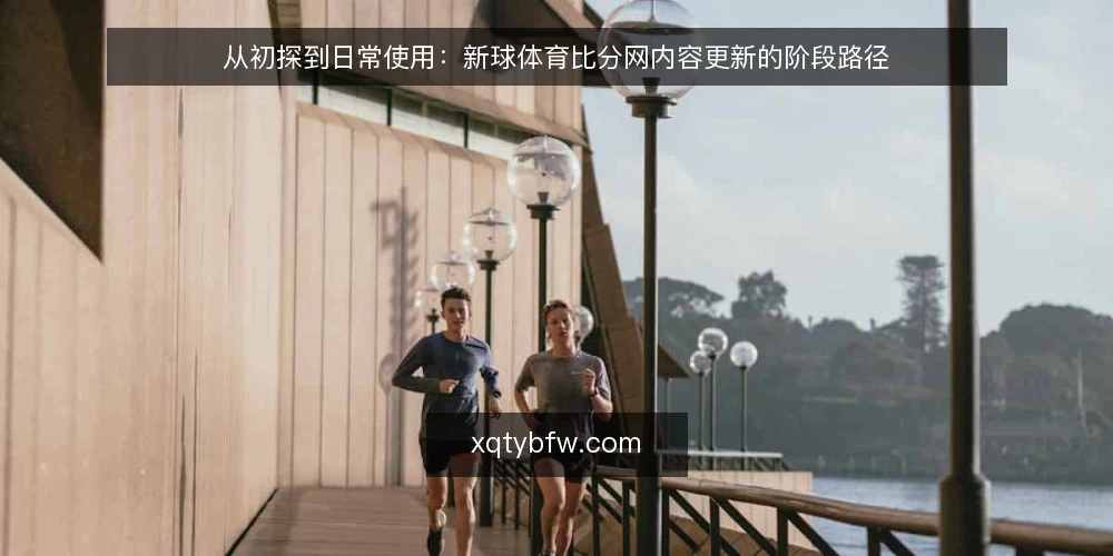 从初探到日常使用:新球体育比分网内容更新的阶段路径 — 起点:明确信息需求与使用场景 配图