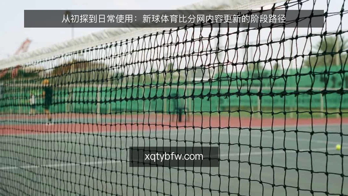 从初探到日常使用:新球体育比分网内容更新的阶段路径