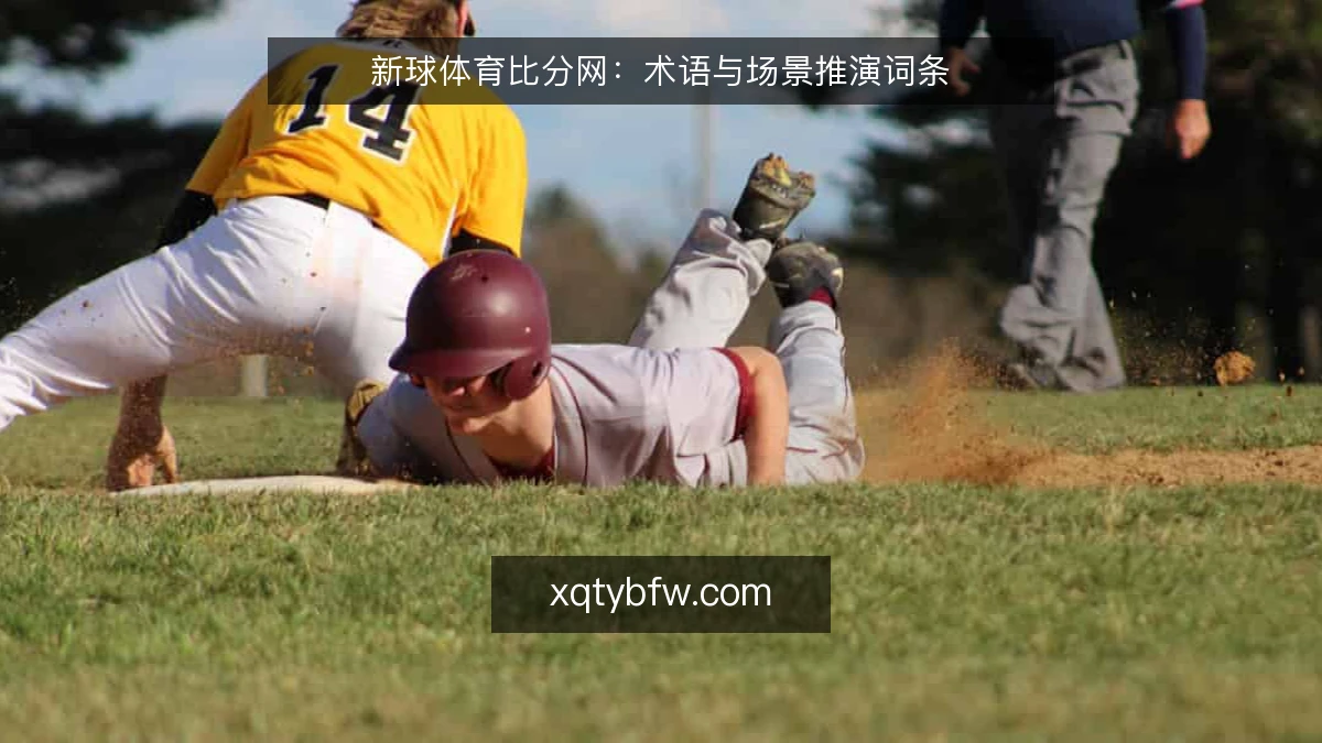 新球体育比分网：术语与场景推演词条
