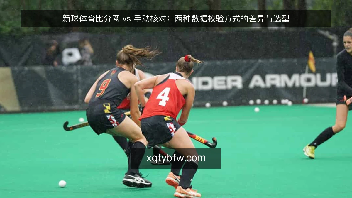 新球体育比分网 vs 手动核对：两种数据校验方式的差异与选型