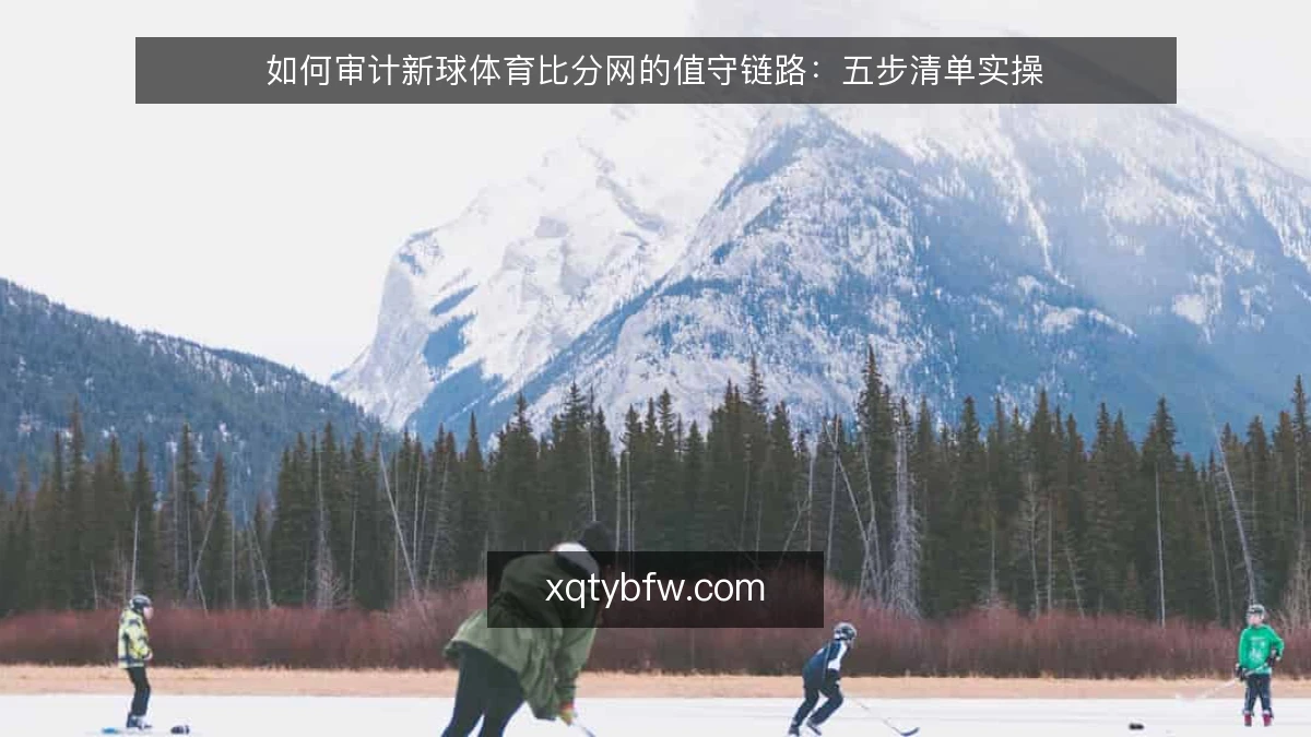 如何审计新球体育比分网的值守链路:五步清单实操