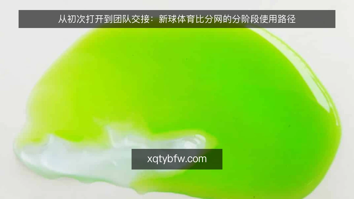 从初次打开到团队交接:新球体育比分网的分阶段使用路径