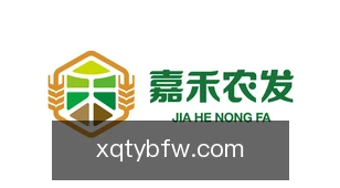 新球体育比分网