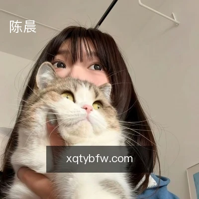 陈晨